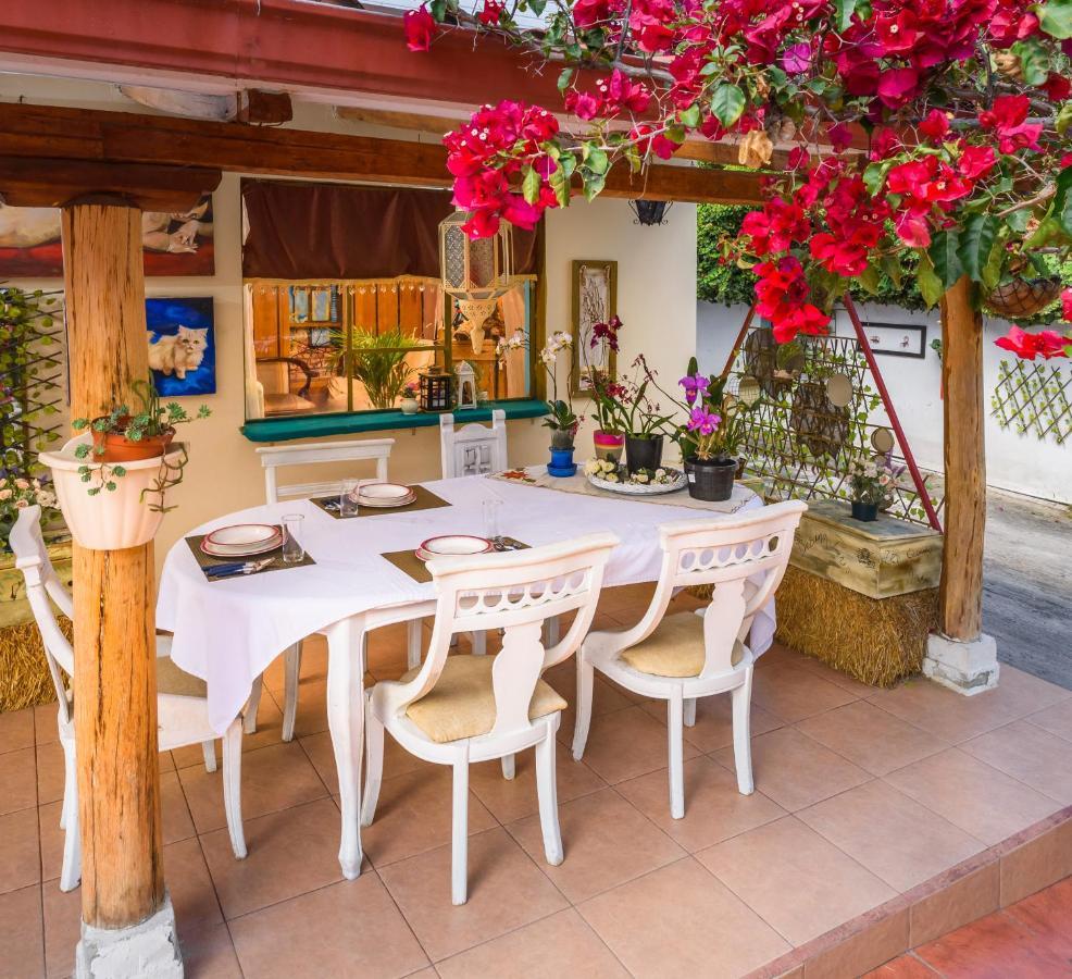 Casa Elalu Apartment Кито Екстериор снимка